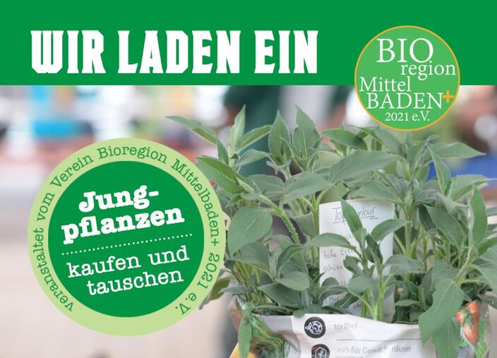 Bioregion Mittelbaden+ 2021 e.V. Einnladung Jungpflanzen kaufen und tauschen